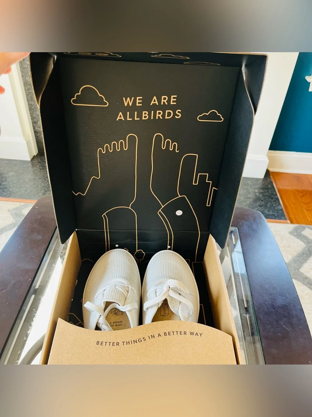 Allbirds Tree Skippers Lace-Up Sneakers Kaikoura White Men's 8 (women's 9.5)